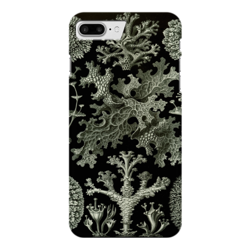 Заказать чехол для iPhone 7/7 Plus в Москве. Чехол для iPhone 7 Plus глянцевый Лишайники (Lichenes, Ernst Haeckel) от Apfelbaum - готовые дизайны и нанесение принтов.