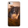 Заказать чехол для iPhone 8/8 Plus в Москве. Чехол для iPhone 8, объёмная печать собака от THE_NISE  - готовые дизайны и нанесение принтов.