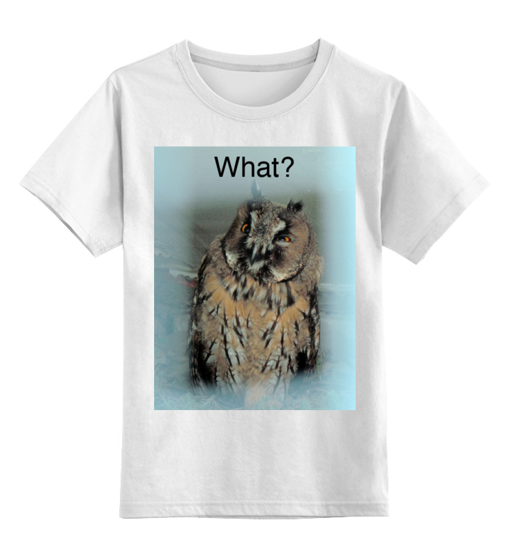 Printio Детская футболка классическая унисекс Умная сова