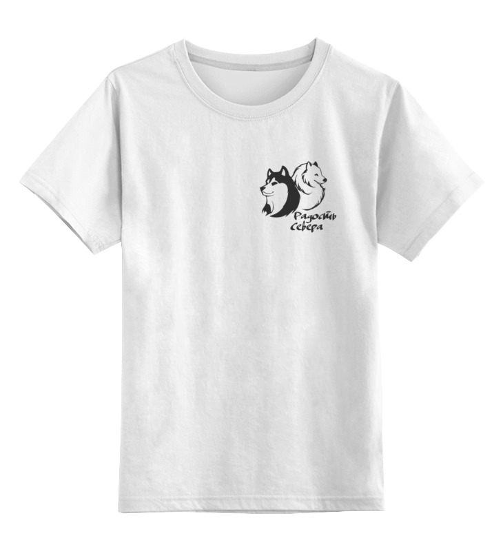 Printio Детская футболка классическая унисекс Радость севера