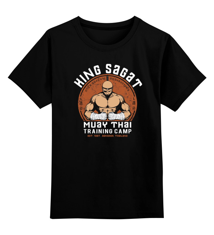 Printio Детская футболка классическая унисекс Street fighter. king sagat training camp