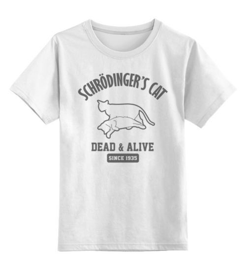 Заказать детскую футболку в Москве. Детская футболка классическая унисекс Кот Шрёдингера от geekbox - готовые дизайны и нанесение принтов.