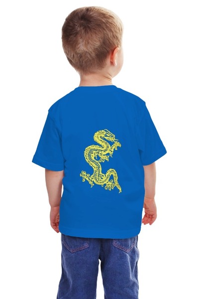Заказать детскую футболку в Москве. Детская футболка классическая унисекс Дракон от Nalivaev - готовые дизайны и нанесение принтов.