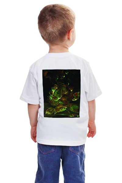 Заказать детскую футболку в Москве. Детская футболка классическая унисекс Золотая роза от Anna Lomachenko - готовые дизайны и нанесение принтов.