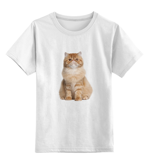 Заказать детскую футболку в Москве. Детская футболка классическая унисекс котенок от THE_NISE  - готовые дизайны и нанесение принтов.