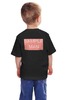 Заказать детскую футболку в Москве. Детская футболка классическая унисекс SAMPLEMAN от ICECREMIER - готовые дизайны и нанесение принтов.