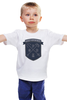 Заказать детскую футболку в Москве. Детская футболка классическая унисекс Санкт-Петербург от gopotol - готовые дизайны и нанесение принтов.