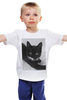 Заказать детскую футболку в Москве. Детская футболка классическая унисекс Котики от olgaknyazyatova - готовые дизайны и нанесение принтов.