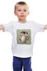 Заказать детскую футболку в Москве. Детская футболка классическая унисекс Крошка Енот от gent777 - готовые дизайны и нанесение принтов.