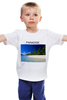 Заказать детскую футболку в Москве. Детская футболка классическая унисекс Paradise от Тима Старк - готовые дизайны и нанесение принтов.