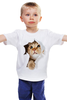 Заказать детскую футболку в Москве. Детская футболка классическая унисекс Котик от Violet - готовые дизайны и нанесение принтов.