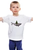 Заказать детскую футболку в Москве. Детская футболка классическая унисекс Акула от Ирина Акельева - готовые дизайны и нанесение принтов.