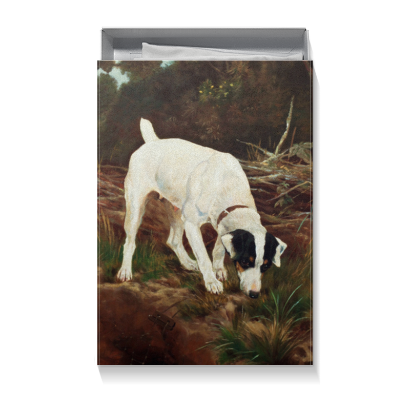 Printio Коробка для футболок Собака эмиль филла фрагмент картины