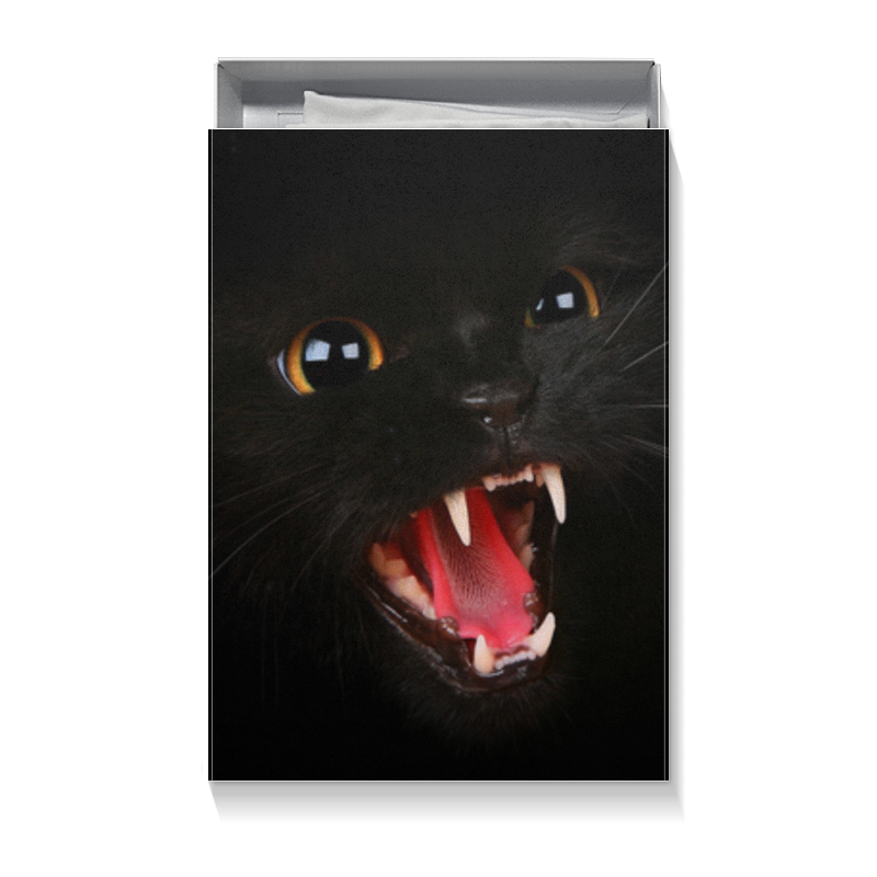 Printio Коробка для футболок Черная кошка коробка claptone черная