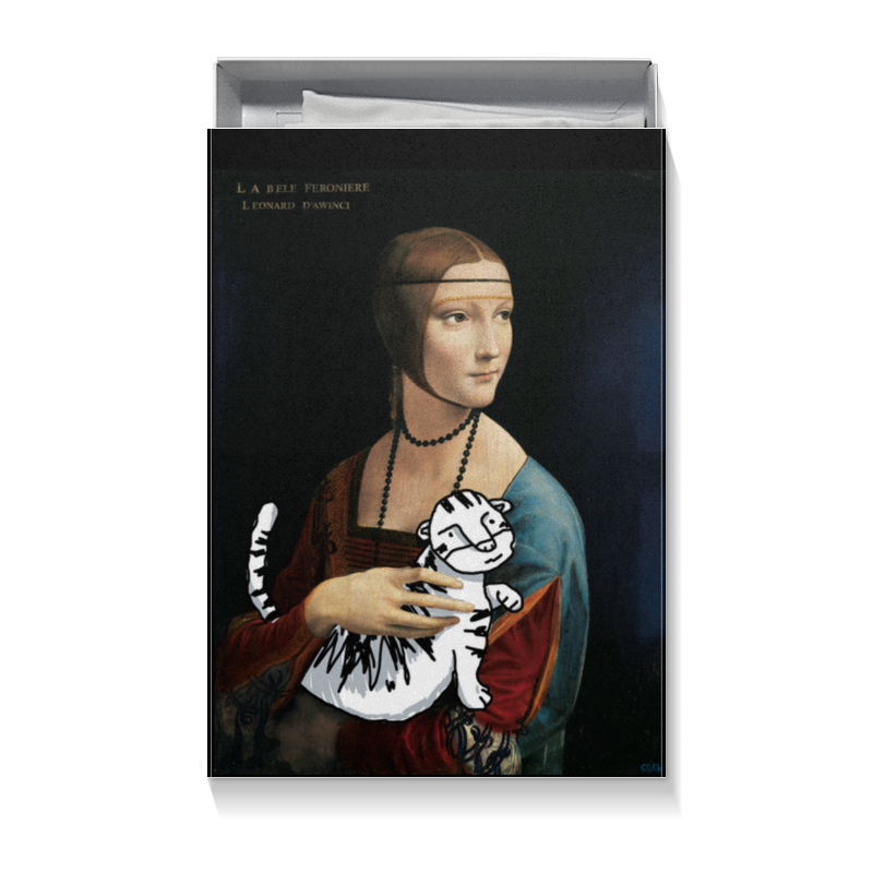 Printio Коробка для футболок «дама с тигром» printio бутылка для воды дама с тигром