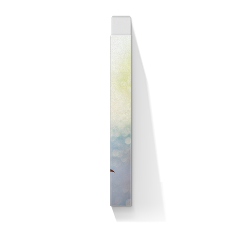Заказать подарочную упаковку в Москве. Коробка для футболок Осень от FireFoxa - готовые дизайны и нанесение принтов.