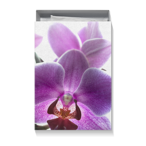 Заказать подарочную упаковку в Москве. Коробка для футболок Орхидея от Оксана Музыка - готовые дизайны и нанесение принтов.
