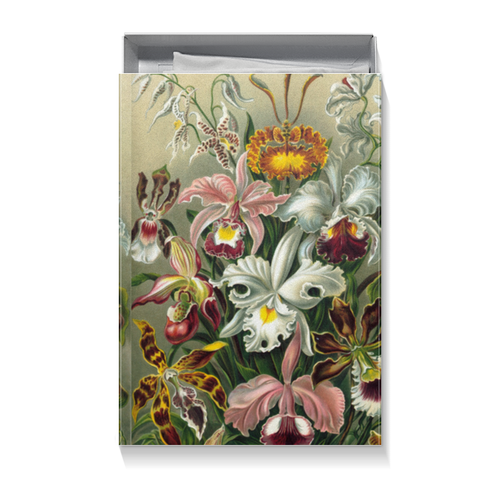 Заказать подарочную упаковку в Москве. Коробка для футболок Орхидеи (Orchideae, Ernst Haeckel) от Apfelbaum - готовые дизайны и нанесение принтов.