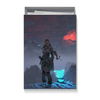 Заказать подарочную упаковку в Москве. Коробка для футболок Horizon Zero Dawn от GeekFox  - готовые дизайны и нанесение принтов.
