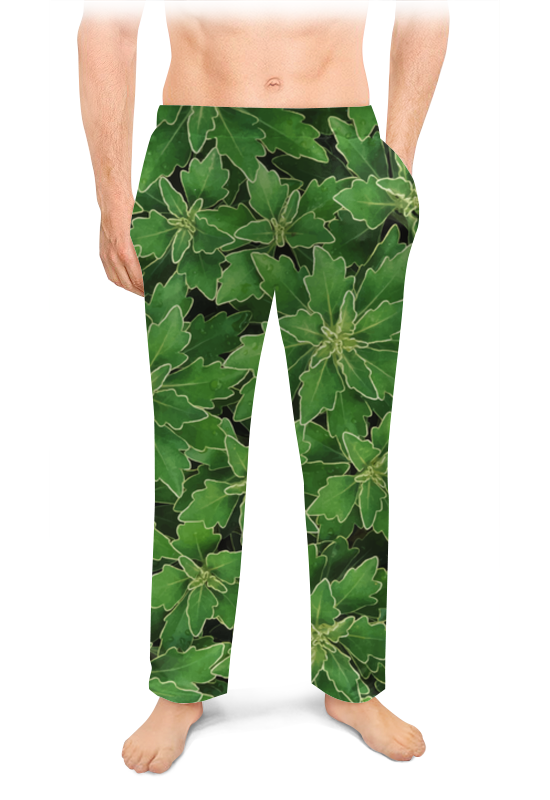Printio Мужские пижамные штаны Зеленые листья
