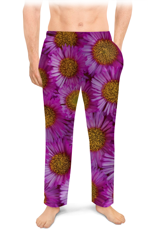 Printio Мужские пижамные штаны Астры скоромная л многолетние цветущие растения