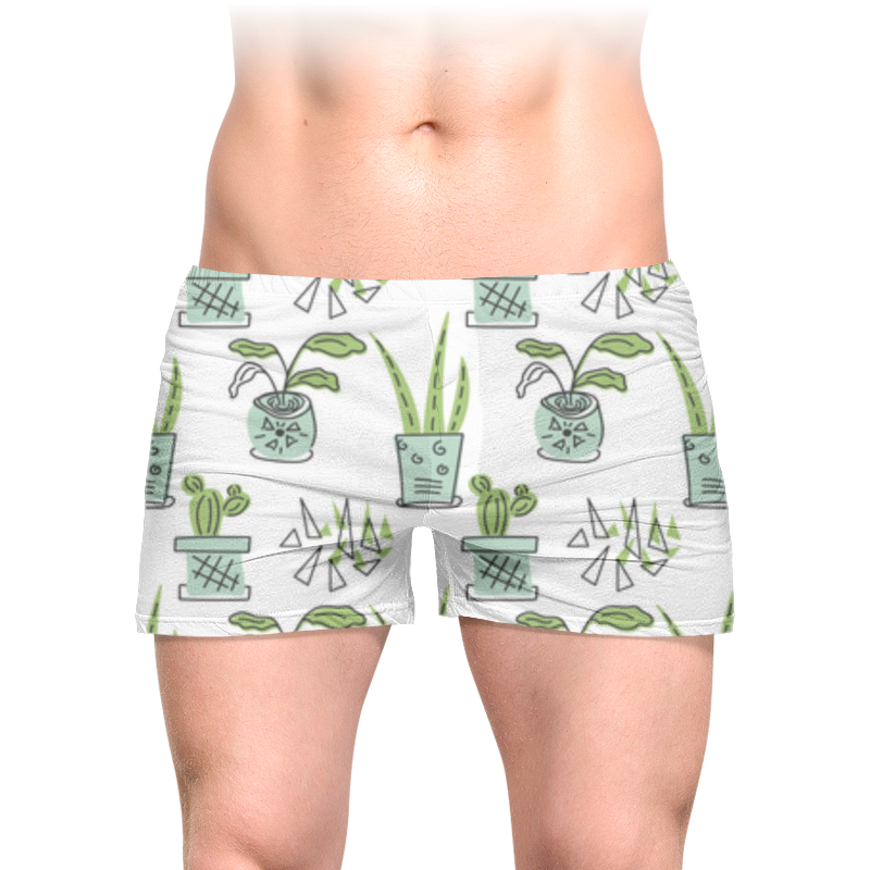 Printio Трусы мужские с полной запечаткой Комнатные растения printio мужские пижамные штаны комнатные растения кактусы