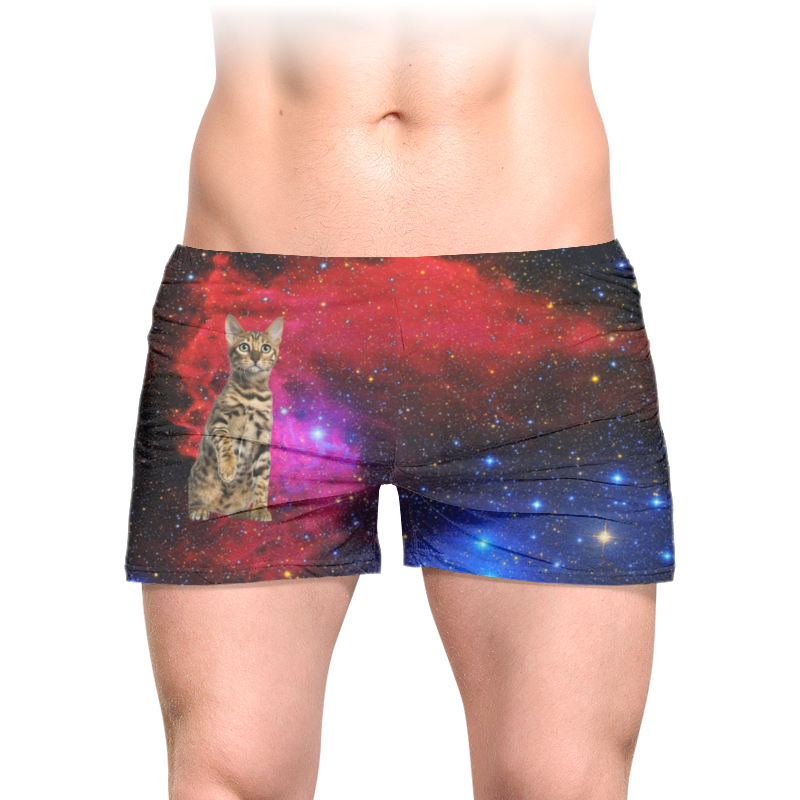 Printio Трусы мужские с полной запечаткой кот в космосе