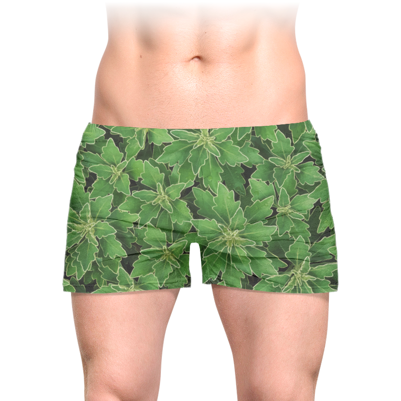 Printio Трусы мужские с полной запечаткой Зеленые листья