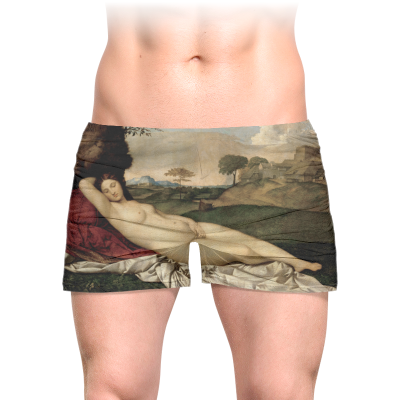 Printio Трусы мужские с полной запечаткой Спящая венера (картина джорджоне)