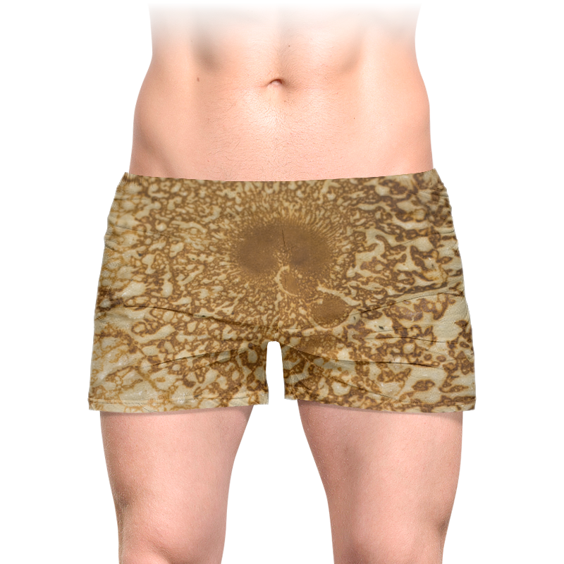 Printio Трусы мужские с полной запечаткой Поджаристый блинчик