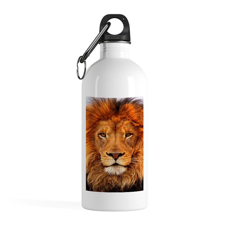 Printio Бутылка металлическая 500 мл Лев printio бутылка металлическая 500 мл кот лев подарок для льва