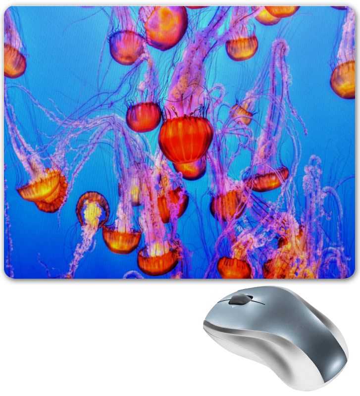 Printio Коврик для мышки Медузы printio коврик для мышки круглый морские медузы