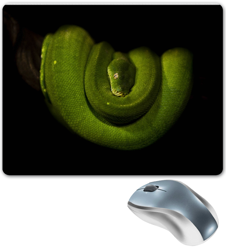 Printio Коврик для мышки Зеленая древесная змея цена и фото