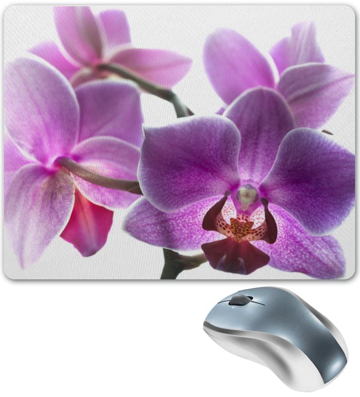 цена Printio Коврик для мышки Орхидея