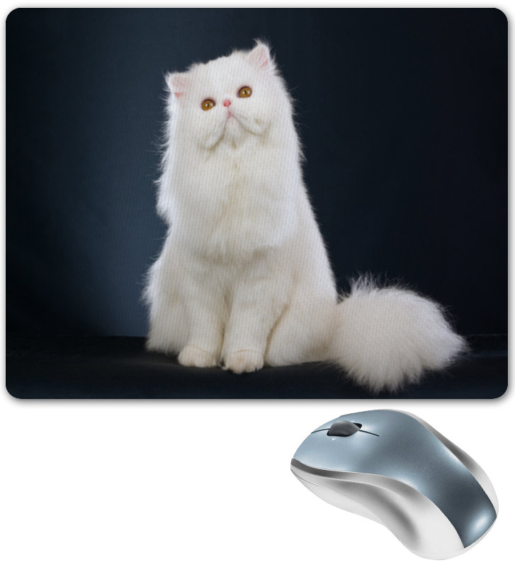 Printio Коврик для мышки Белый кот printio коврик для мышки важный кот