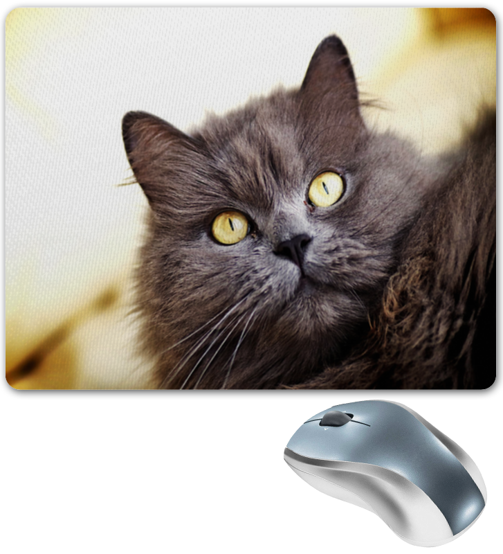 Printio Коврик для мышки Кот/cat цена и фото