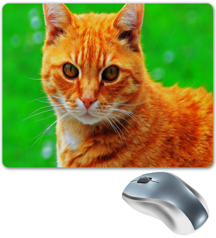 Printio Коврик для мышки кот/cat