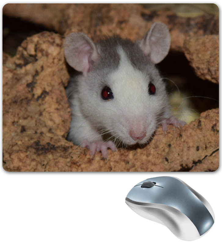 Printio Коврик для мышки Крыса символ 2020 года printio тетрадь на пружине крыса символ 2020 года