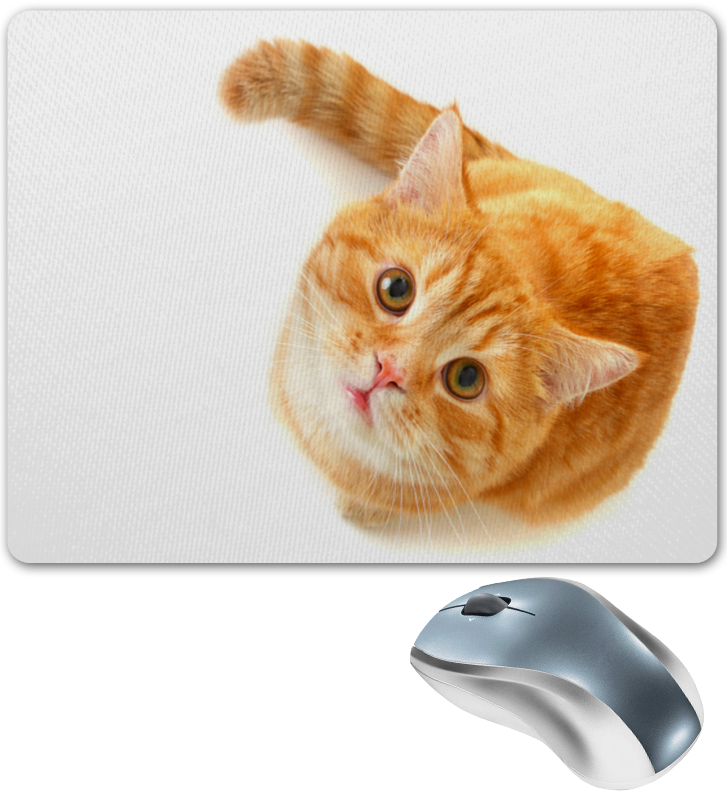 коврик д/сушки посуды mdm-01-l микрофибра 45*35см. коврик рыжий кот. придверный коврик "рыжий кот". коврик рыжий кот. коврик рыжий кот bmp-52-g, 69x36 см.