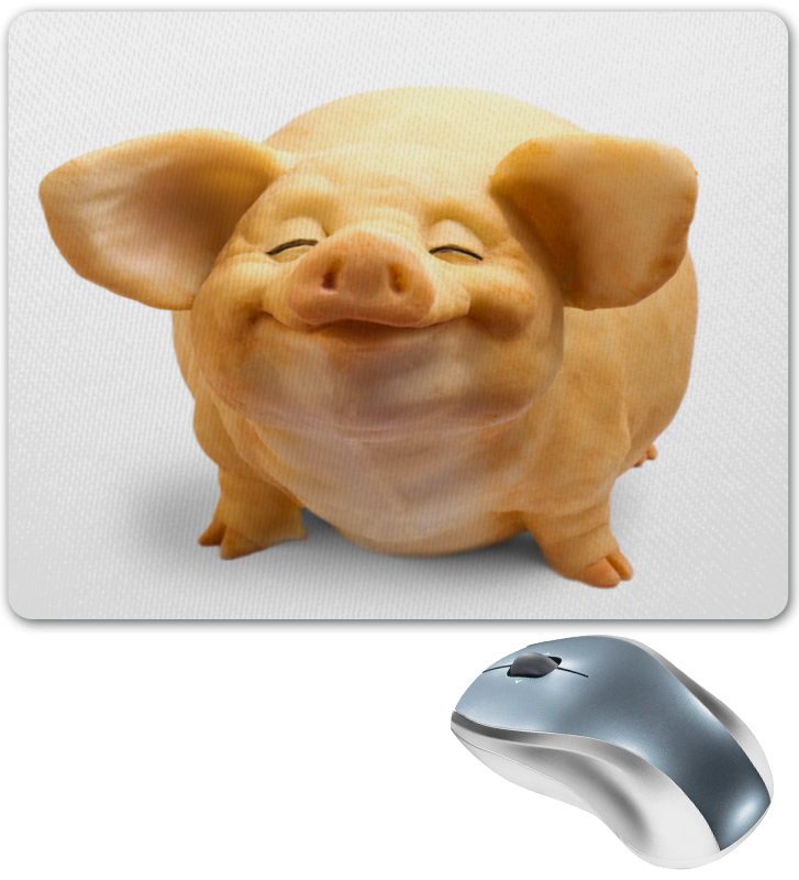 Поросенок и мышонок. Свинья и крыса. Крыса сфинкс дамбо рекс. Поросенок и крыса. Свинья мышь.