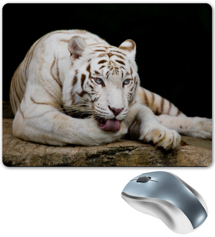 Printio Коврик для мышки Белый тигр printio коврик для мышки тигр в джунглях