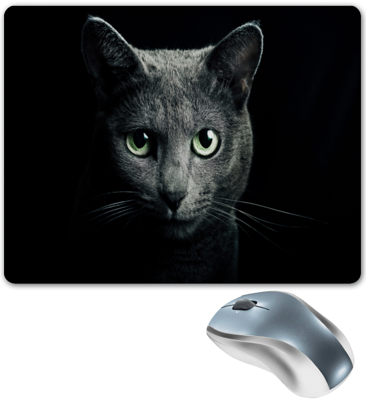 Printio Коврик для мышки Серый кот printio коврик для мышки важный кот