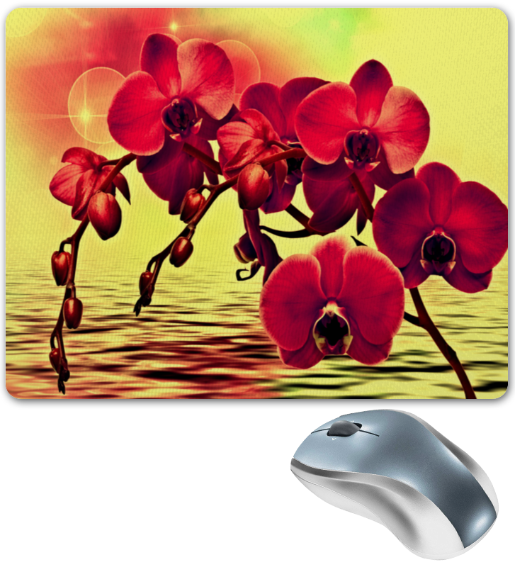 Printio Коврик для мышки Яркие цветы силиконовый чехол на vivo y3s яркие цветы для виво ю3с