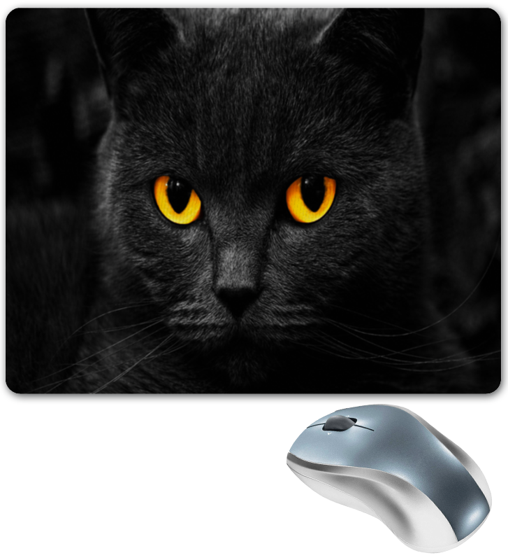 Printio Коврик для мышки Кот/cat printio коврик для мышки черный кот