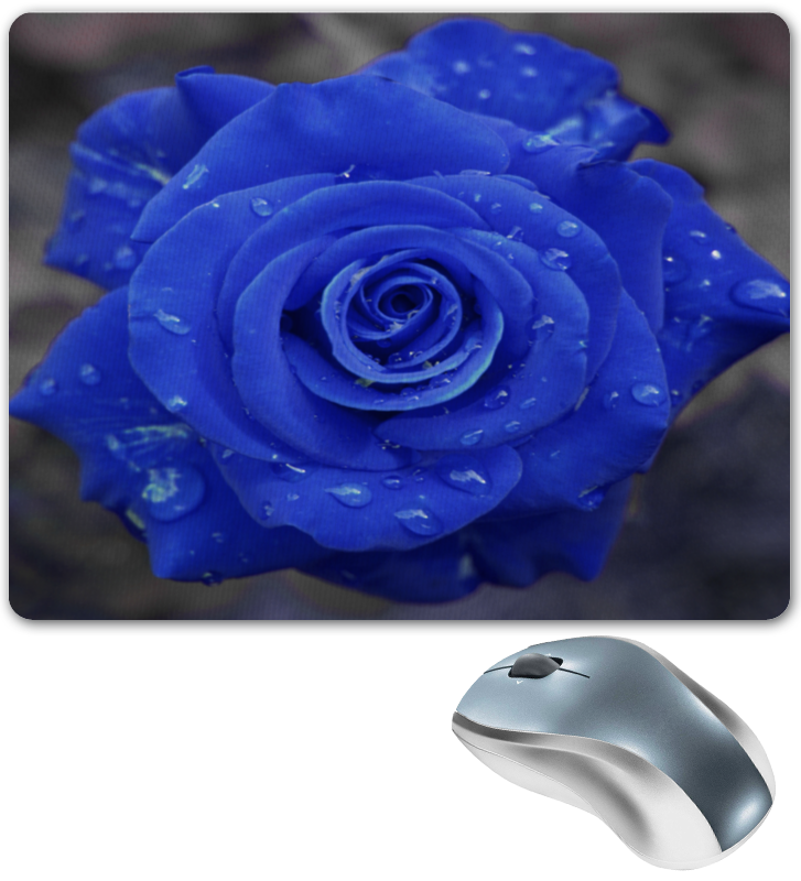 Printio Коврик для мышки Синяя роза
