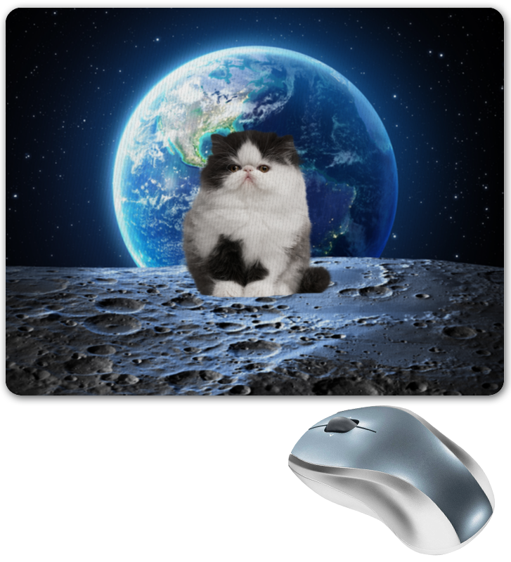 Printio Коврик для мышки Кот в космосе printio коврик для мышки космонавт в открытом космосе