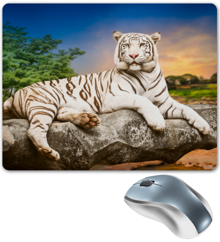 Printio Коврик для мышки Белый тигр printio коврик для мышки круглый белый тигр