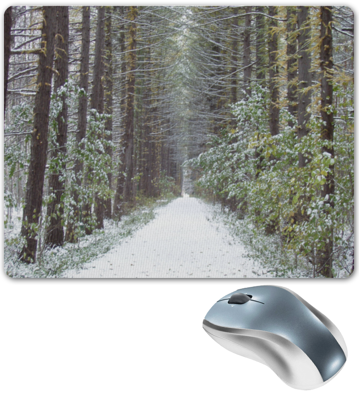 цена Printio Коврик для мышки Winter forest / зимний лес