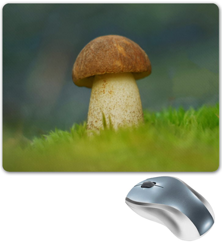 Printio Коврик для мышки Белый гриб. лунтик на лесной поляне книжка панорамка
