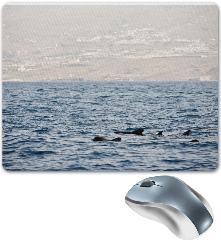 Printio Коврик для мышки Дельфины в морских волнах printio коврик для мышки дельфины